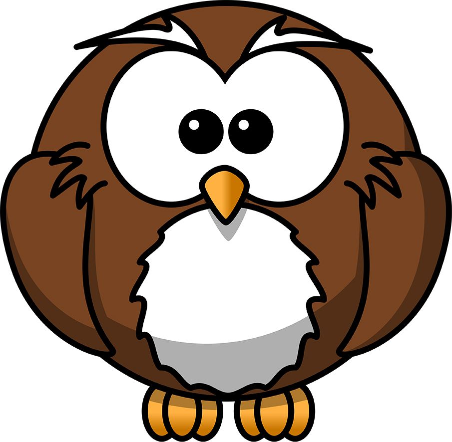 Owl PNG    图片编号:26789