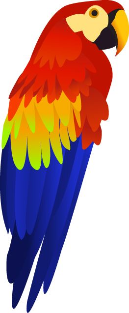 Colorful parrot PNG images, free download    图片编号:718