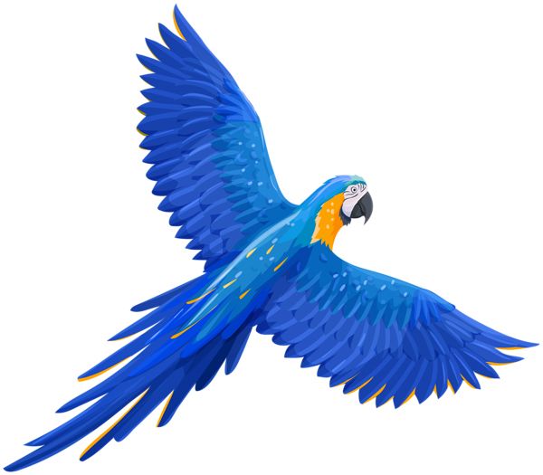 Parrot PNG image    图片编号:96559