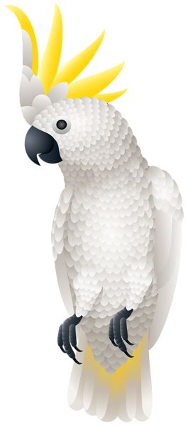 Parrot PNG image    图片编号:96561
