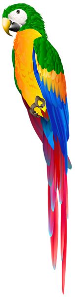Parrot PNG image    图片编号:96565