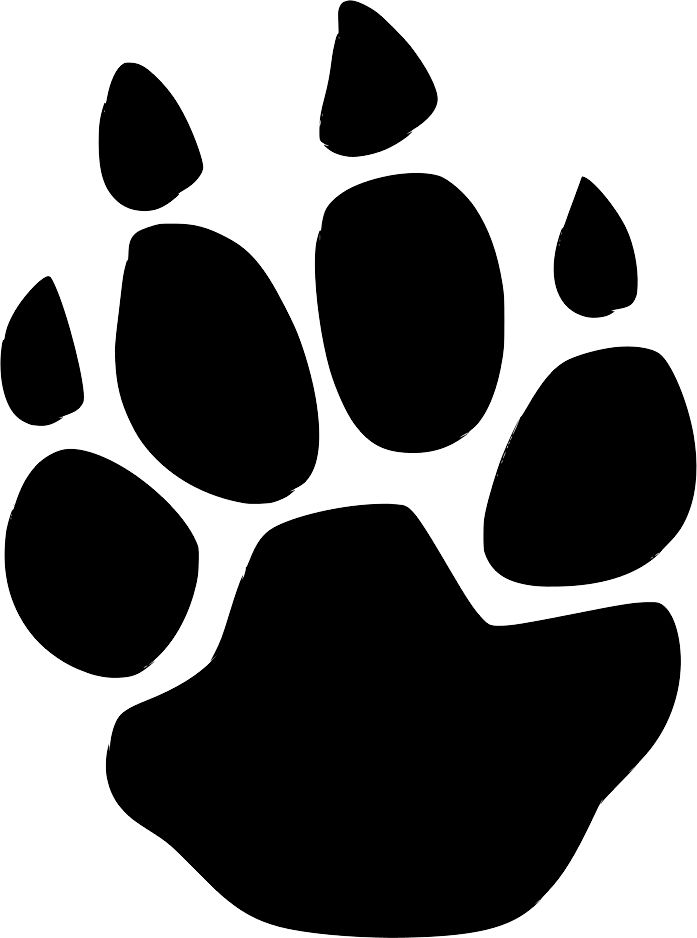 Paw PNG    图片编号:96621