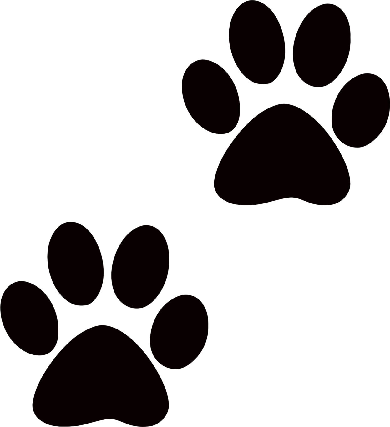 Paw PNG    图片编号:96626