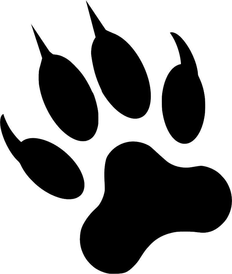 Paw PNG    图片编号:96607