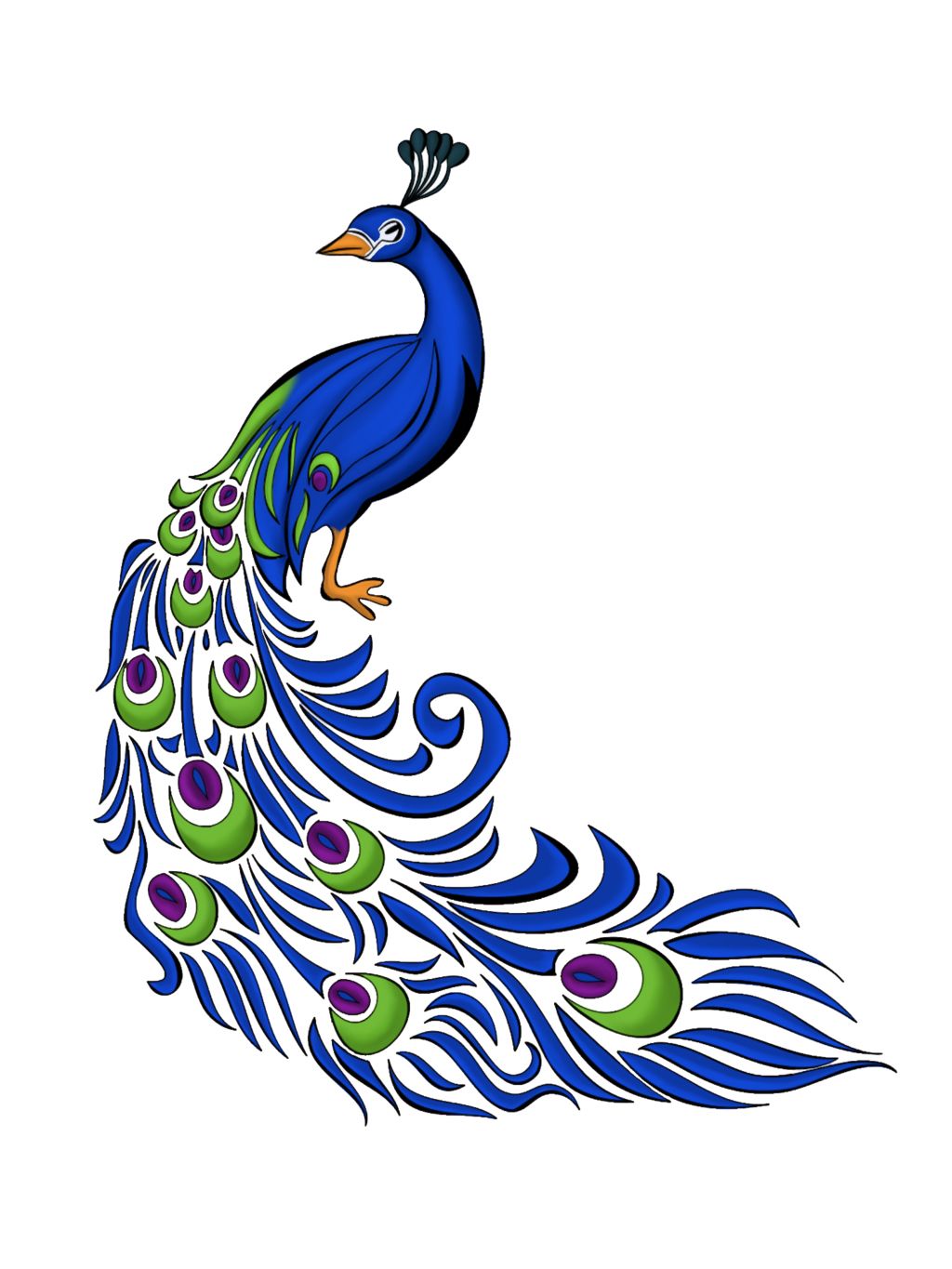 Peacock PNG    图片编号:25803