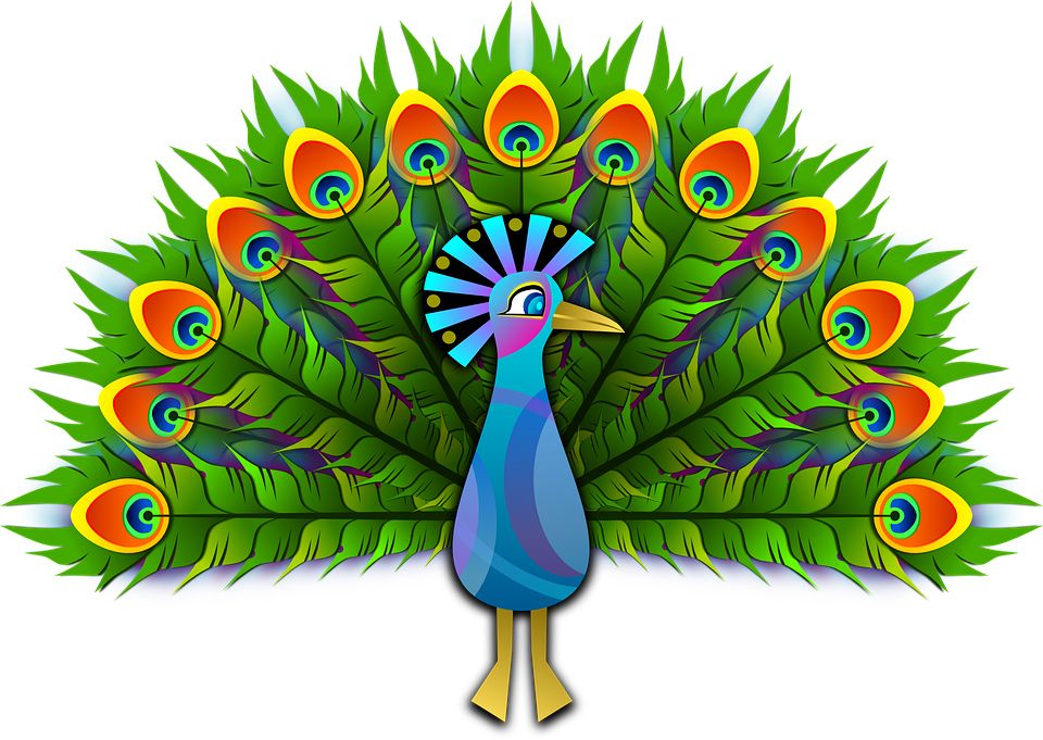 Peacock PNG    图片编号:25825