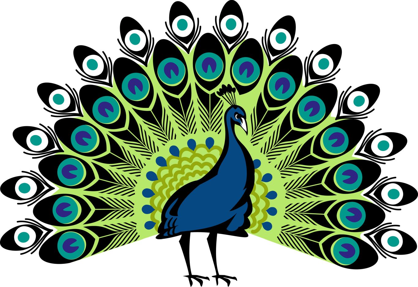 Peacock PNG    图片编号:25832