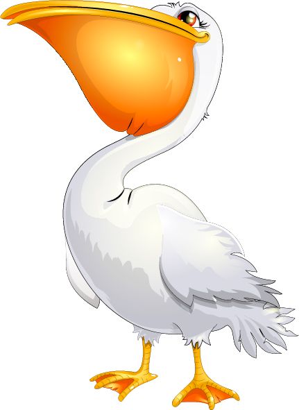 Pelican PNG    图片编号:46561
