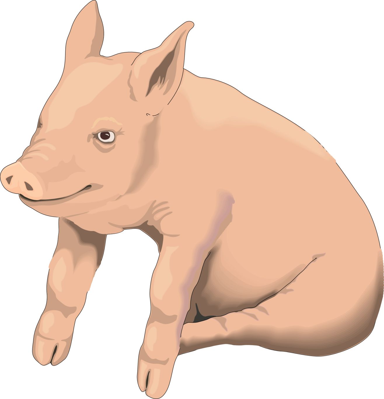 picture pig PNG image    图片编号:2208