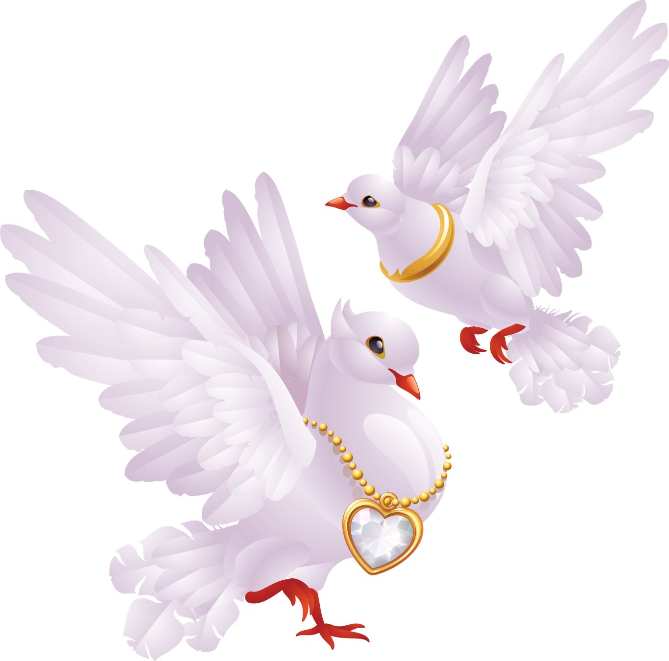 White pigeons PNG image    图片编号:3427