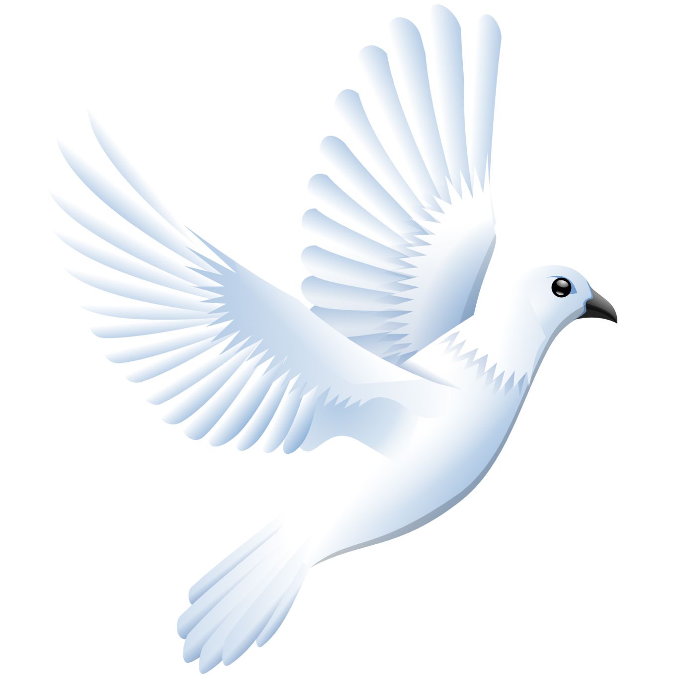 Pigeon PNG    图片编号:54582