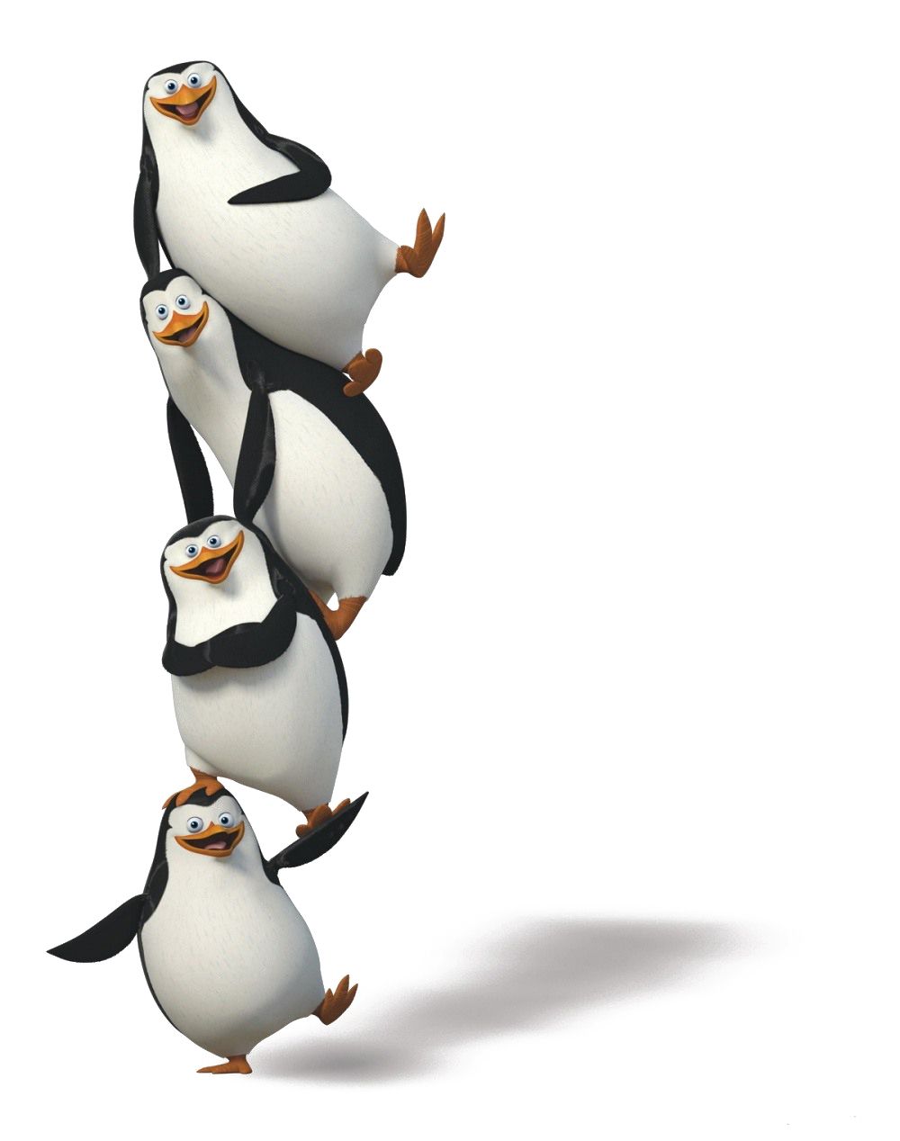 Penguins PNG image    图片编号:4636