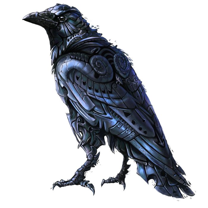 Raven PNG    图片编号:71390