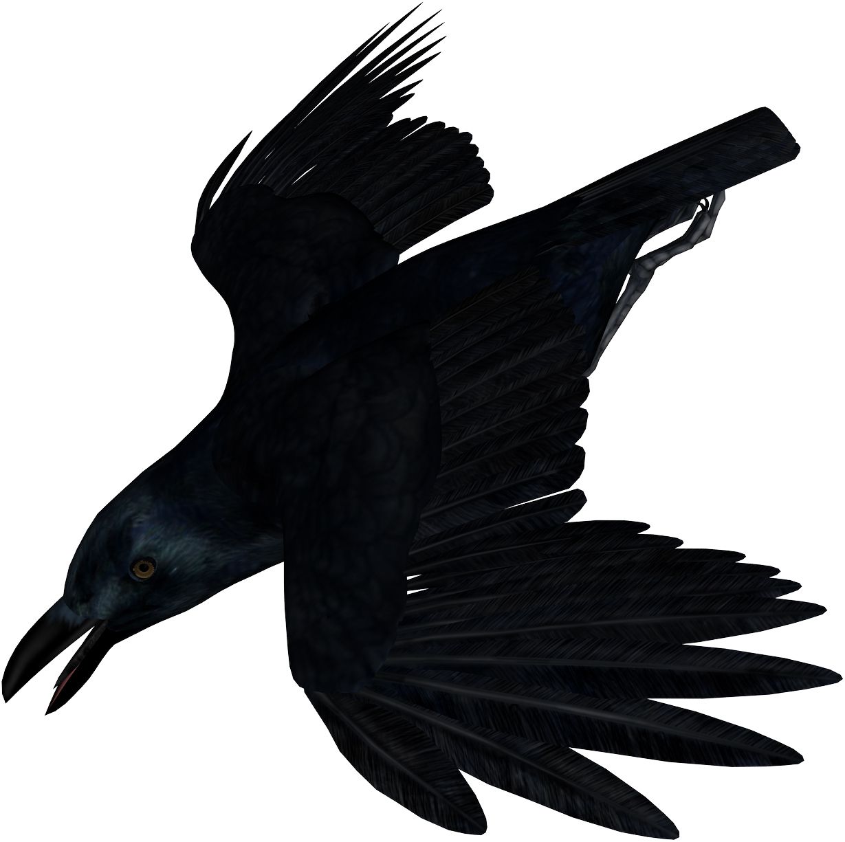 Raven PNG    图片编号:71382