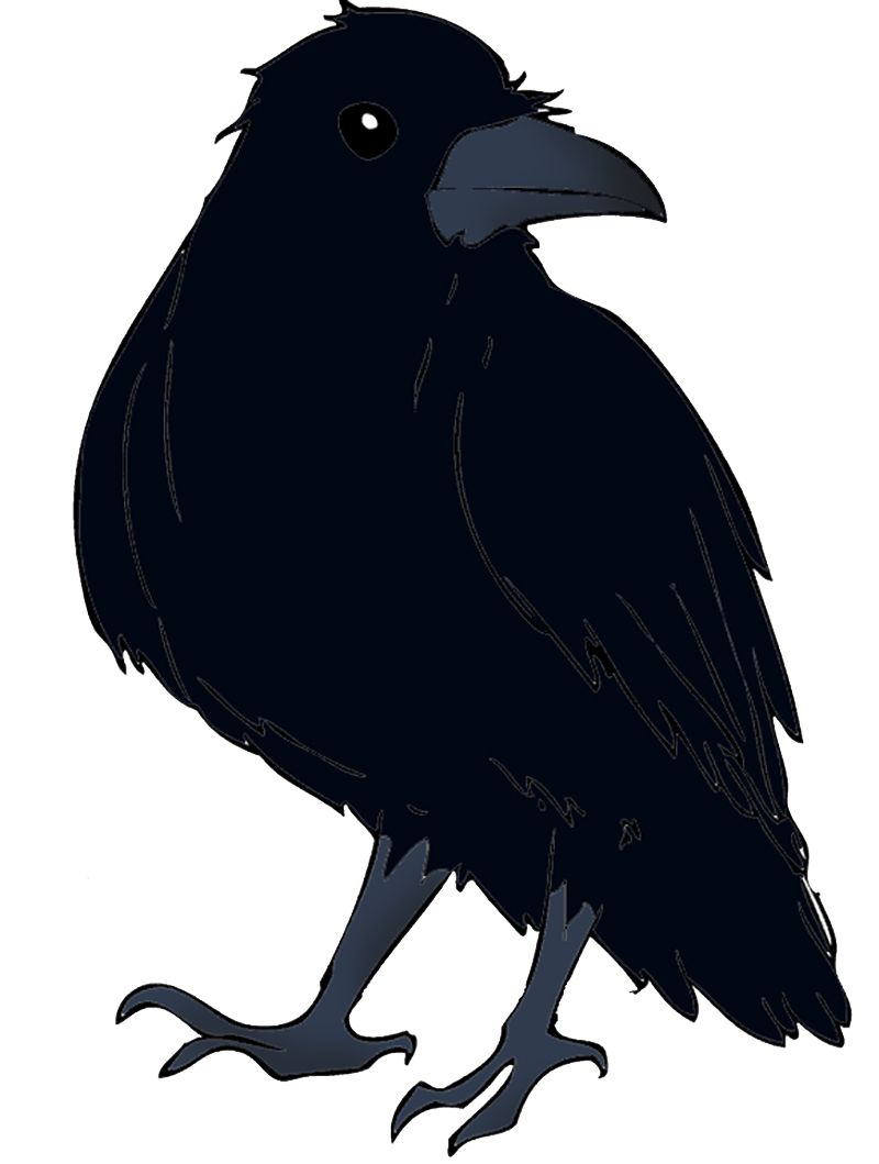 Raven PNG    图片编号:71470