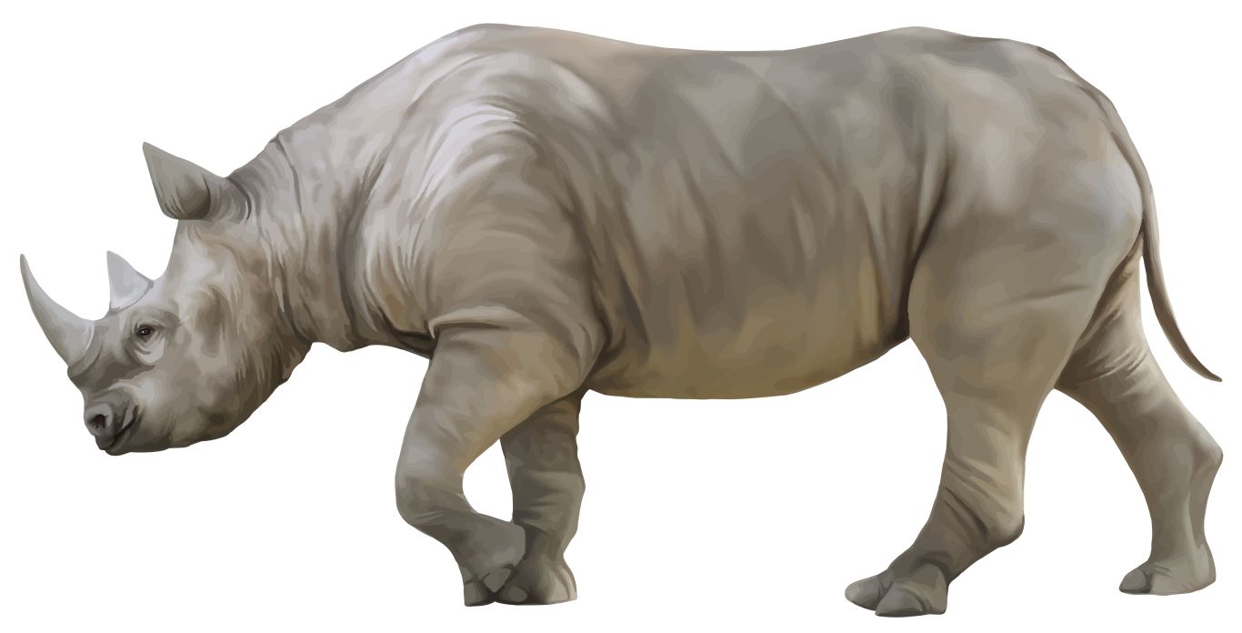 Rhino PNG    图片编号:24789