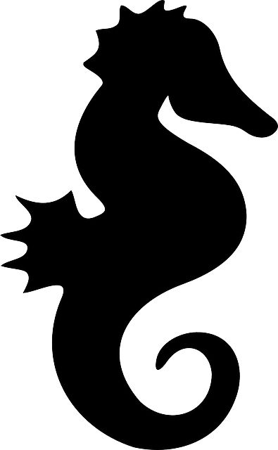 Seahorse PNG    图片编号:37425