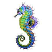 Seahorse PNG    图片编号:37394