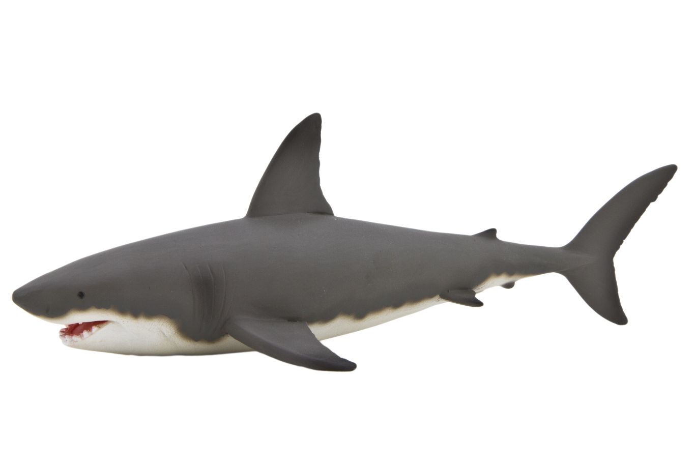 Shark PNG    图片编号:18810