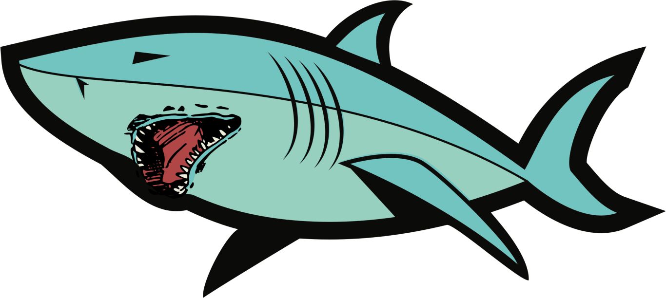 Shark PNG image    图片编号:96507