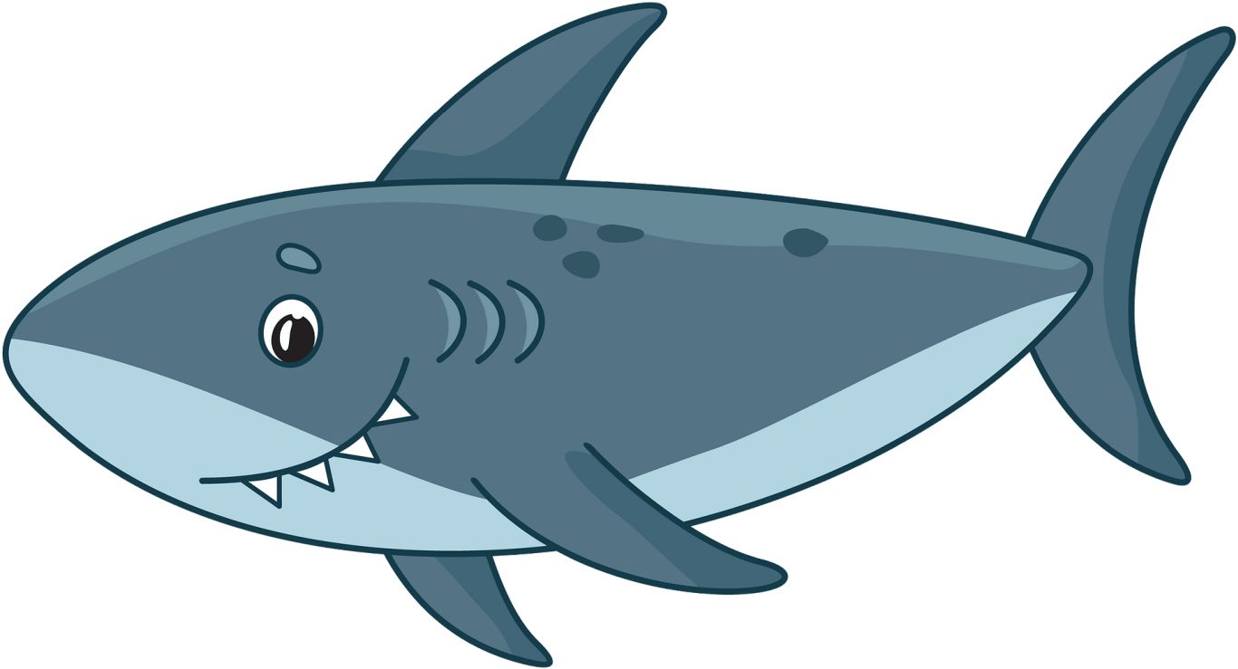 Shark PNG image    图片编号:96512