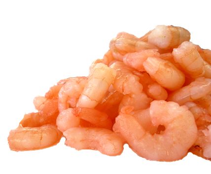 Shrimps PNG    图片编号:18266