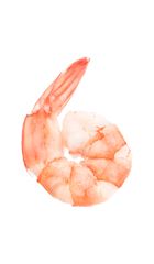Shrimps PNG    图片编号:18269
