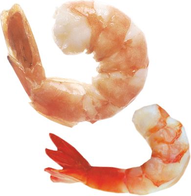 Shrimps PNG    图片编号:18270