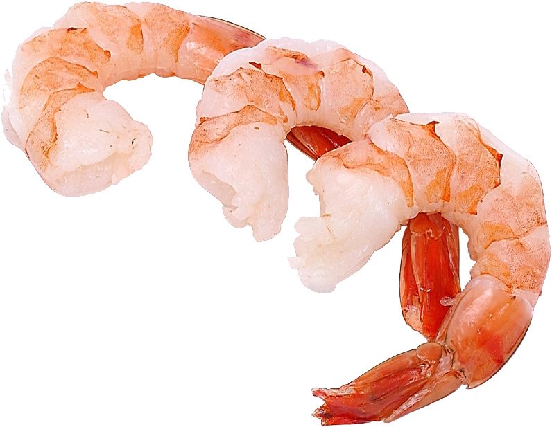 Shrimps PNG    图片编号:18275