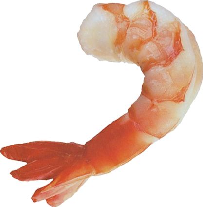 Shrimps PNG    图片编号:18278