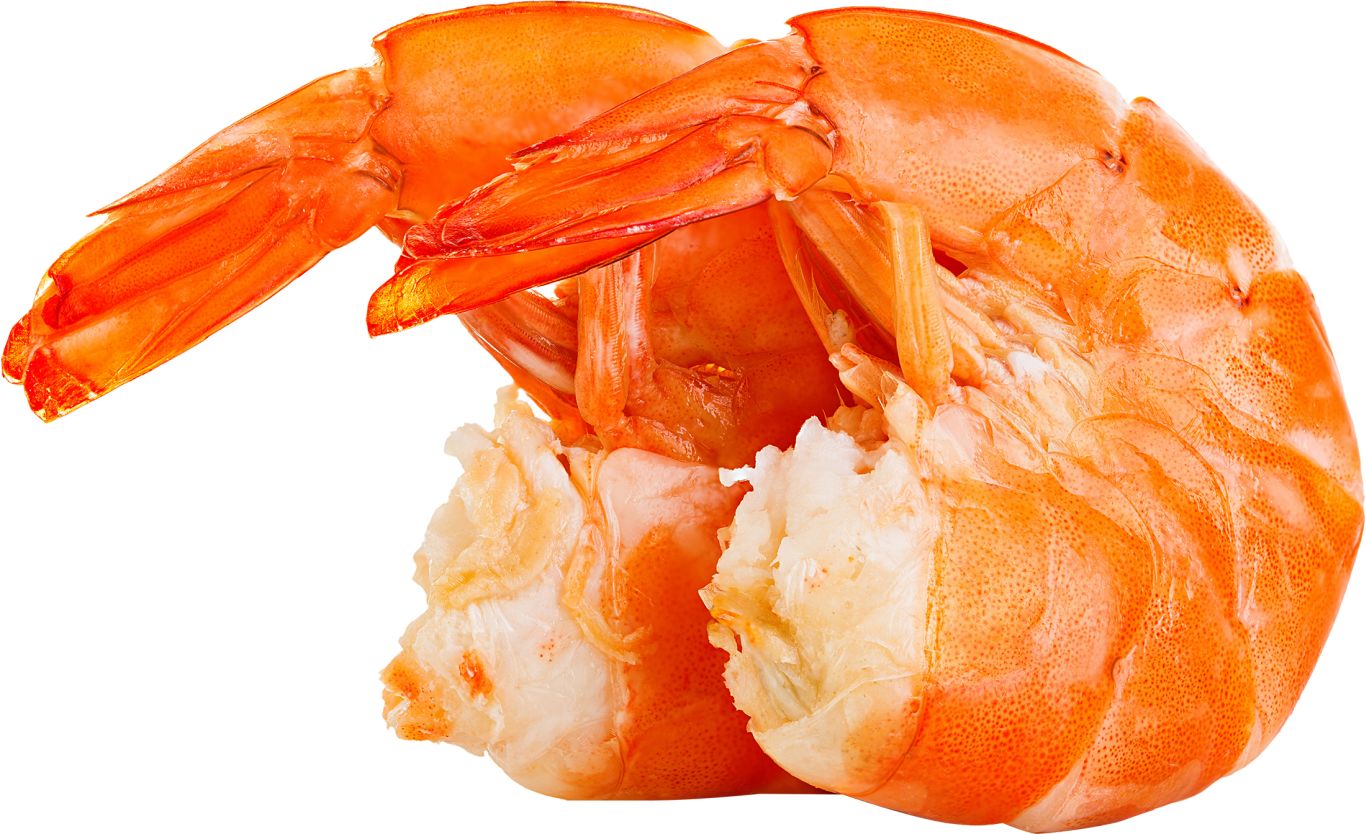 Shrimp PNG image    图片编号:96468