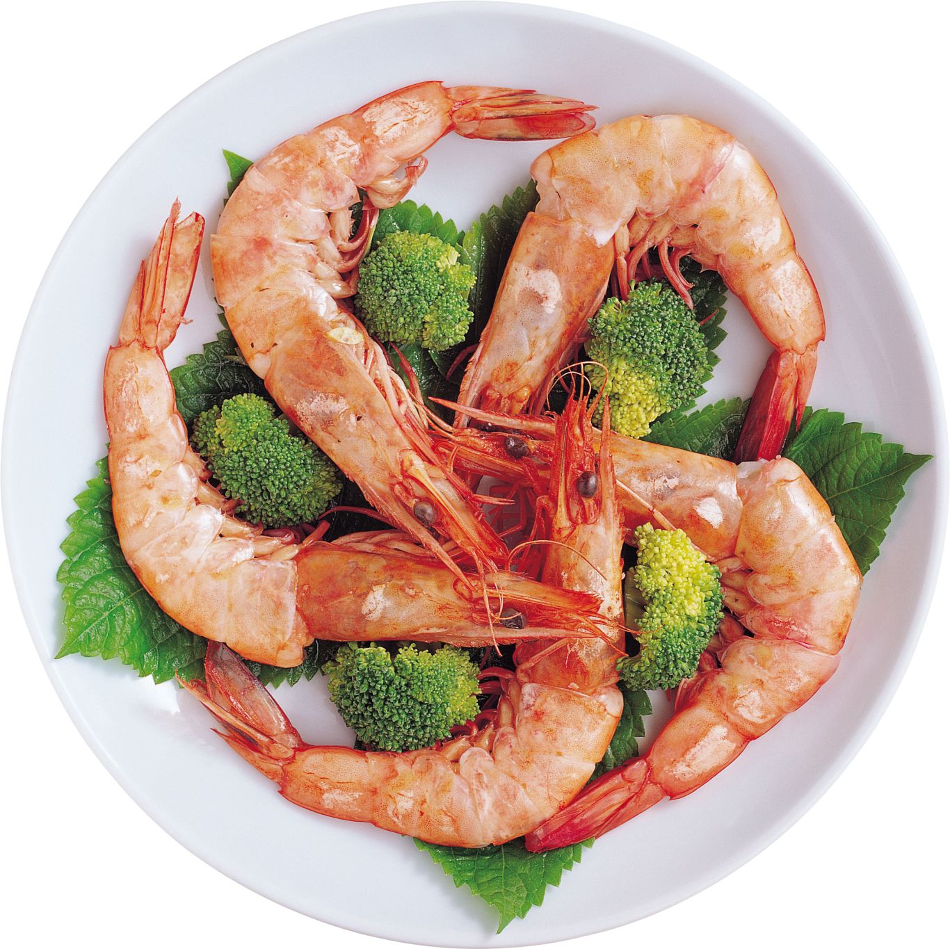 Shrimps plate PNG image    图片编号:96476