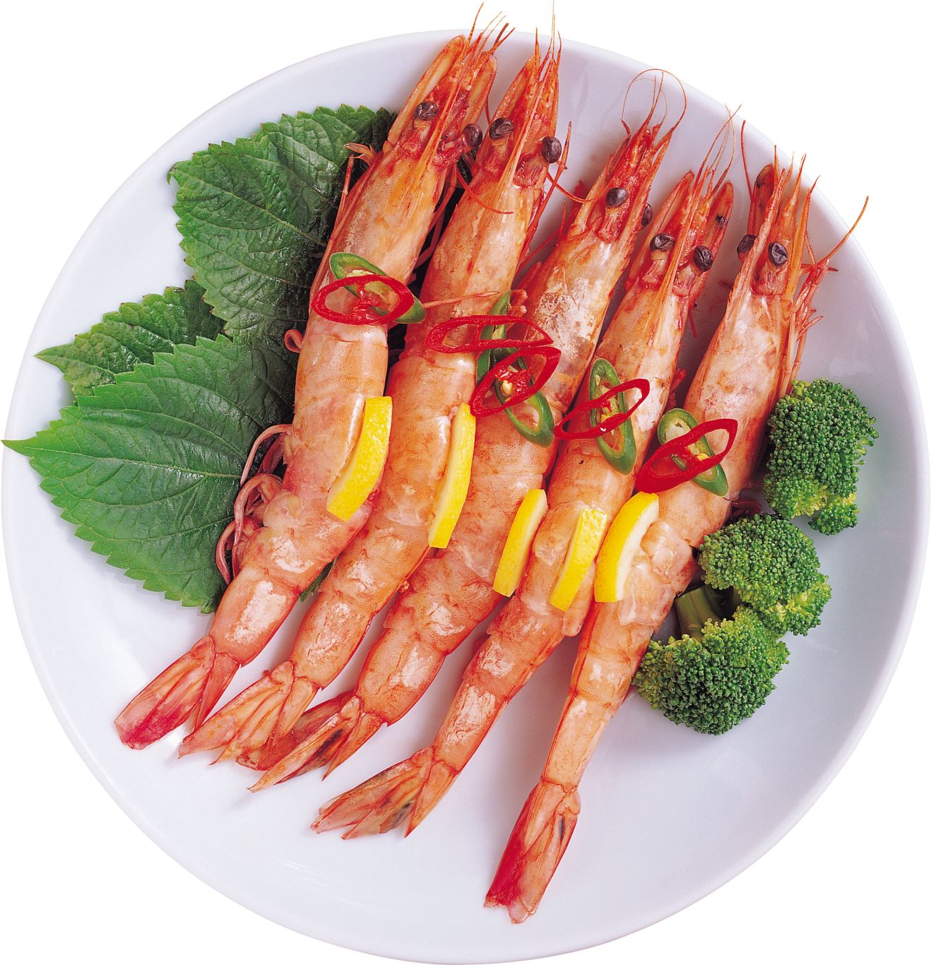 Shrimps PNG image    图片编号:96483