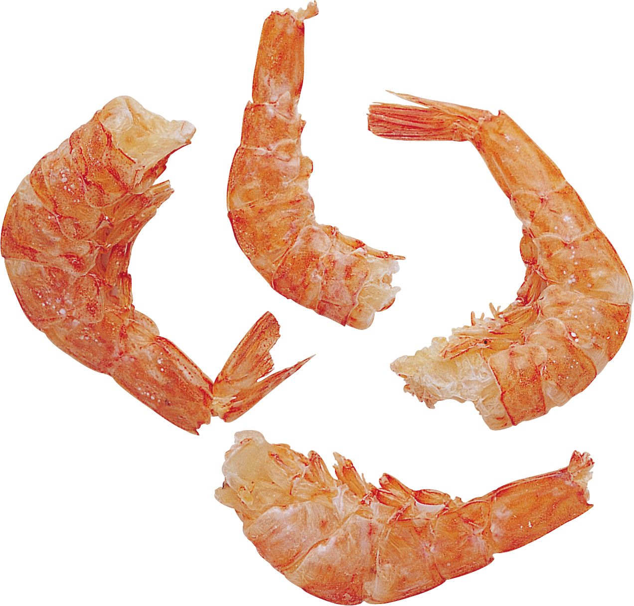 Clean shrimps PNG image    图片编号:96484