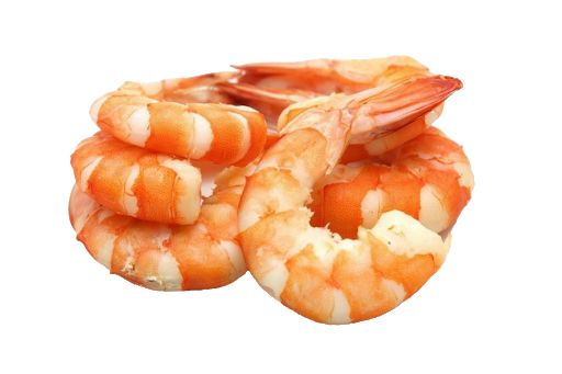 Shrimps food PNG image    图片编号:96488