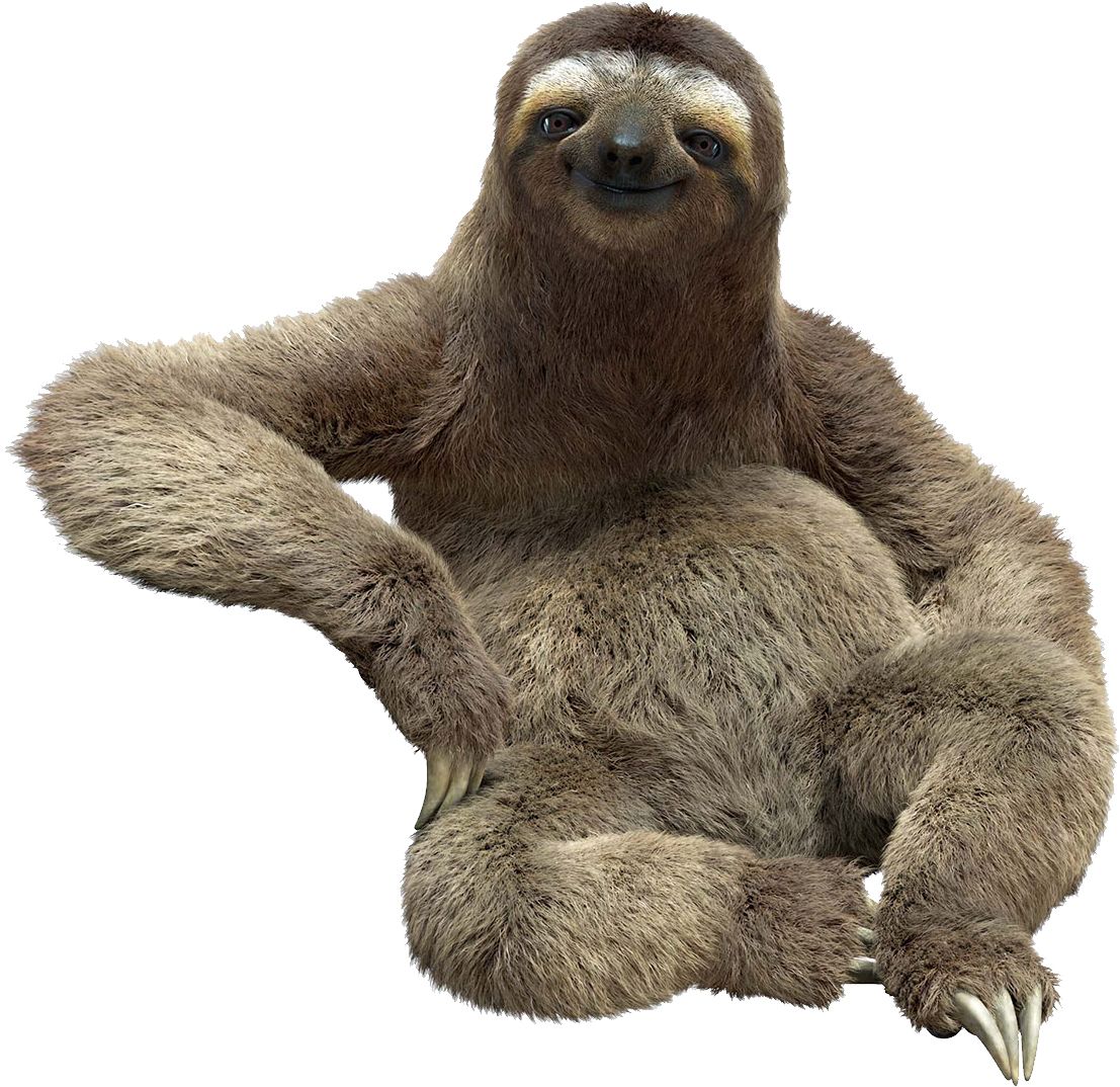 Sloth PNG    图片编号:71181