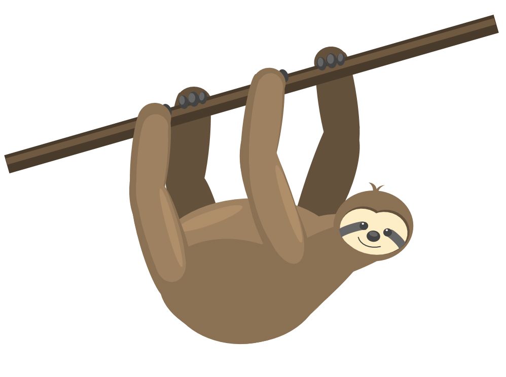 Sloth PNG    图片编号:71200