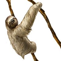 Sloth PNG    图片编号:71203