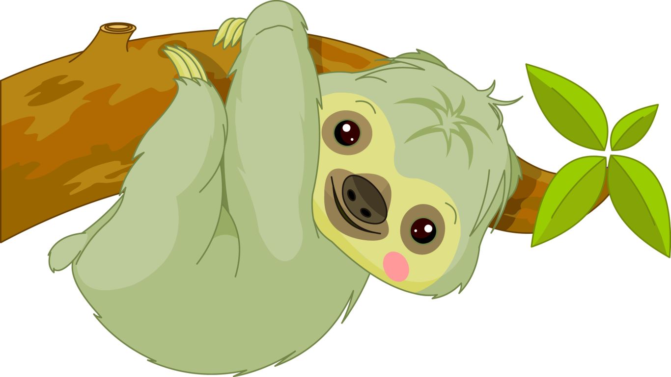 Sloth PNG    图片编号:71205