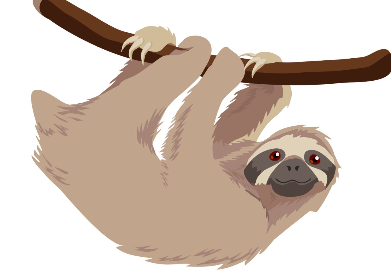 Sloth PNG    图片编号:71206