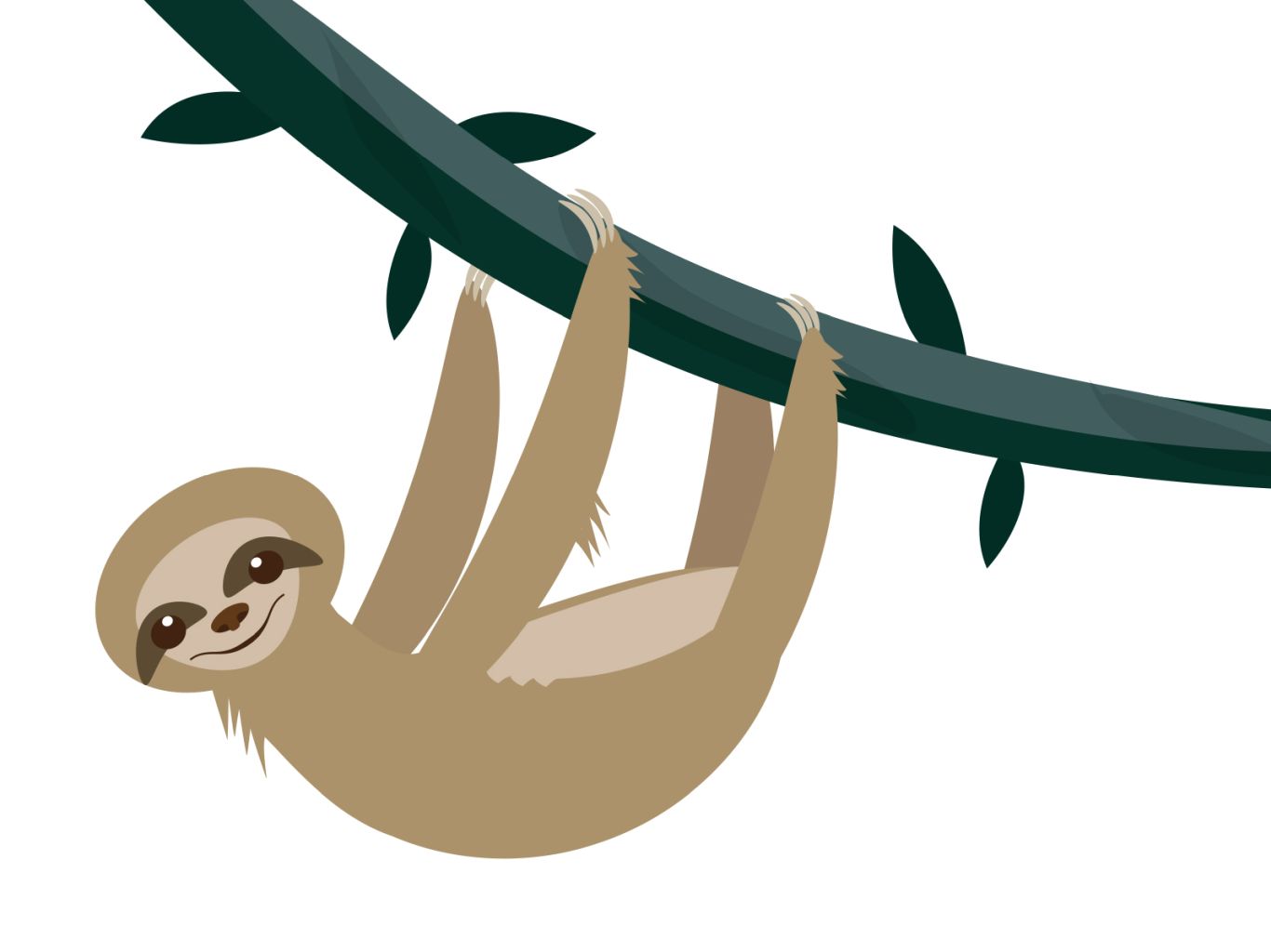Sloth PNG    图片编号:71208