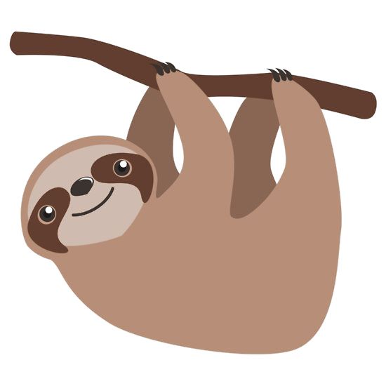 Sloth PNG    图片编号:71211