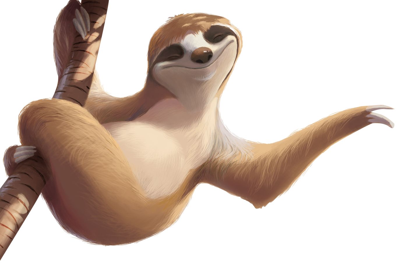 Sloth PNG    图片编号:71214