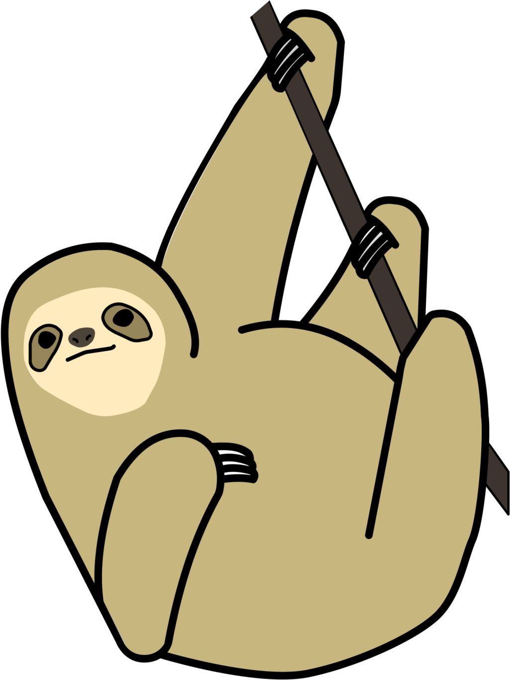 Sloth PNG    图片编号:71184