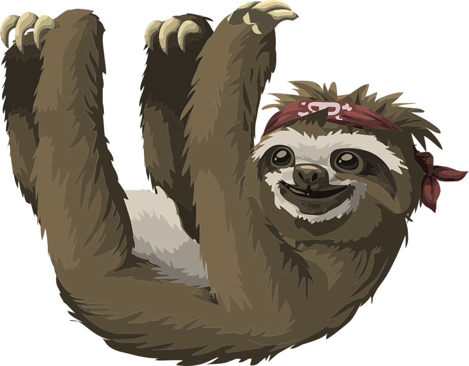Sloth PNG    图片编号:71229
