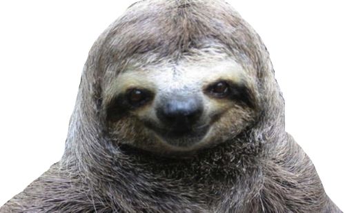 Sloth PNG    图片编号:71247
