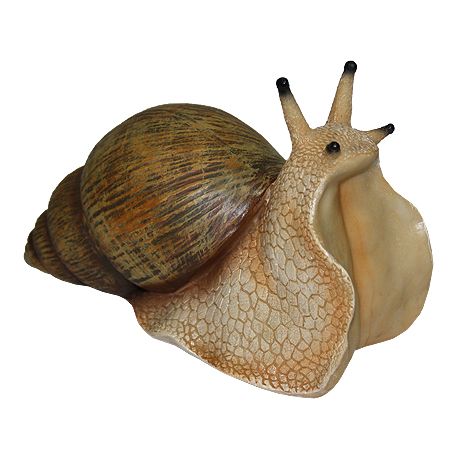 Snail PNG    图片编号:13189