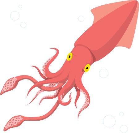 Squid PNG    图片编号:47206