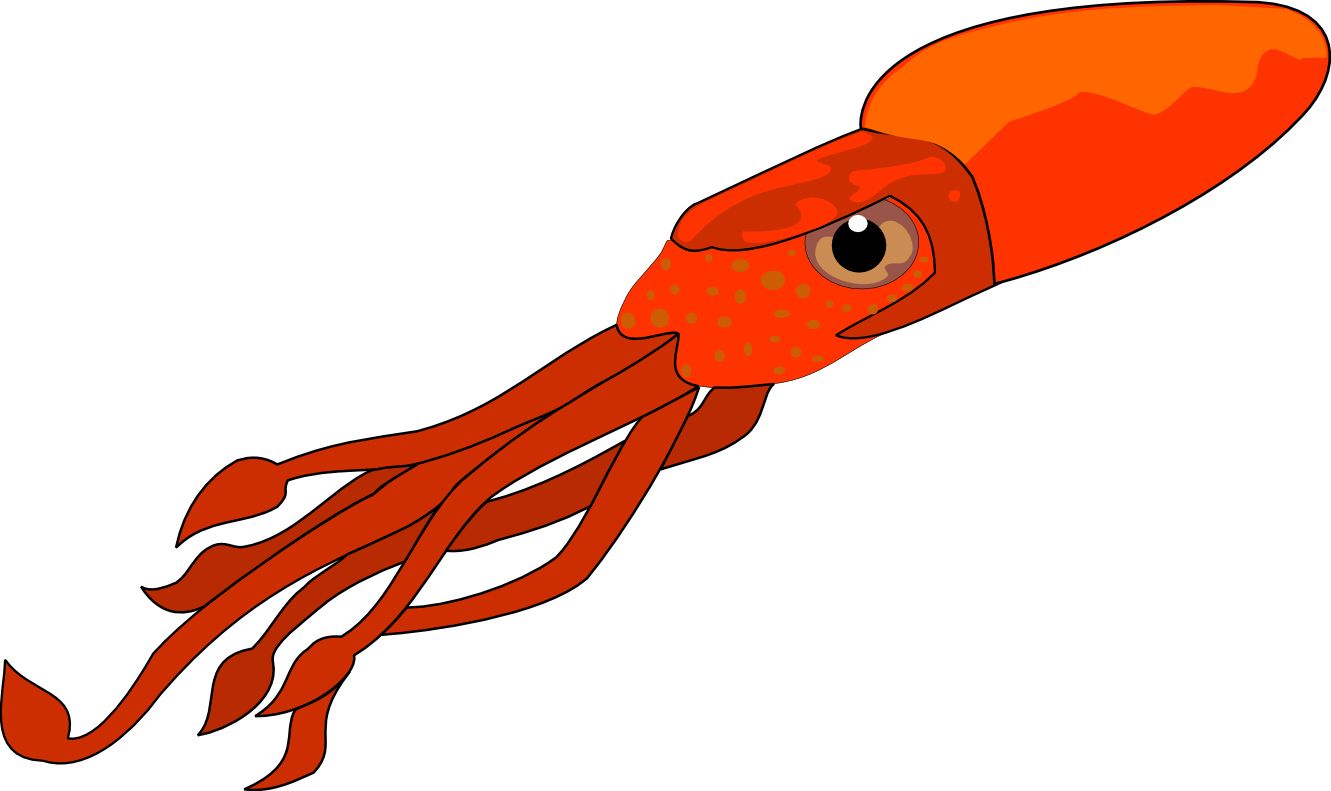 Squid PNG    图片编号:47211