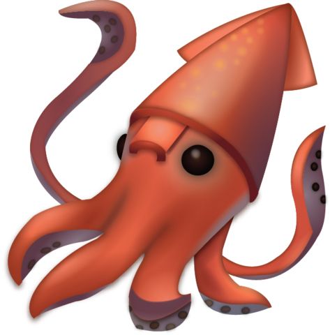 Squid PNG    图片编号:47214